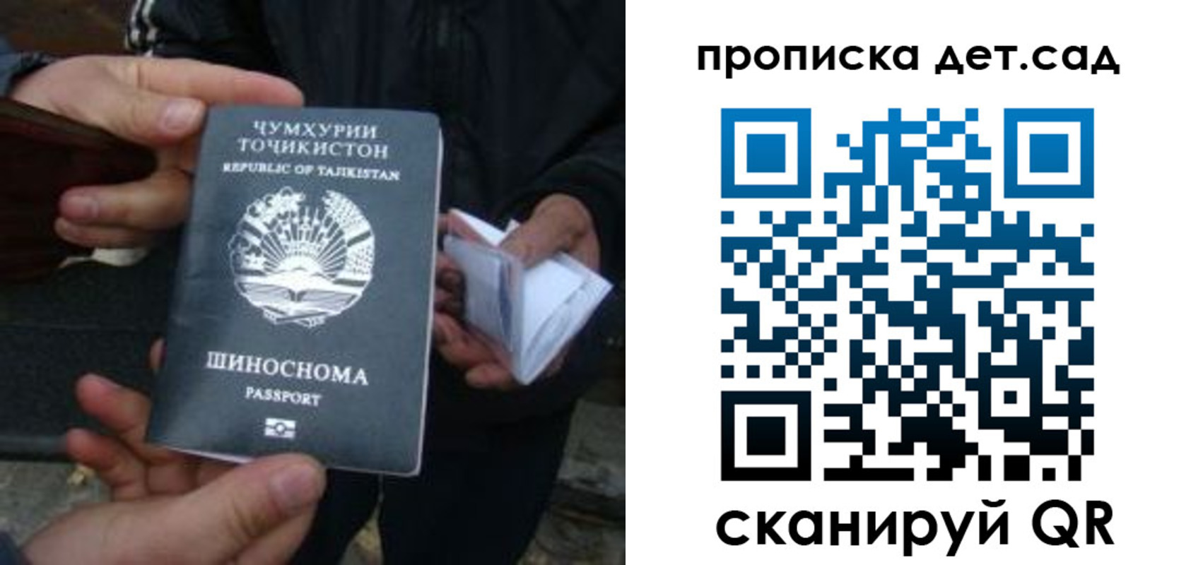 миграционный учет в Полярных Зорях